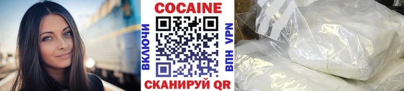 Купить закладки  Жиздра  COCAIN Fish Scale 