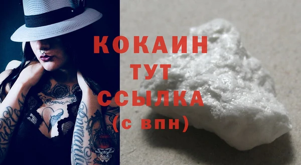 гидра Инта