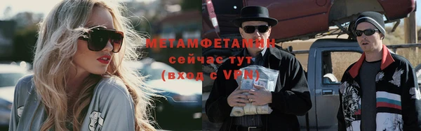 гидра Инта