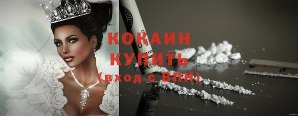 гидра Инта