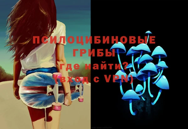 гидра Инта
